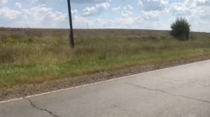 Мопеды сериал | Серия 1286