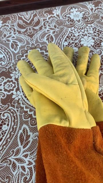 Крыжовник радует