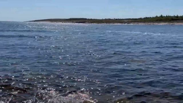 Отдых в Карелии в 2025 году! ️☀️ Часть 1я #Карелия #Отдых #Природа #Путешествие смотреть онлайн