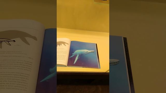 Музей палеонтологи. Скилеты динозавров