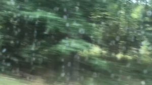 Мопеды сериал | Серия 1194