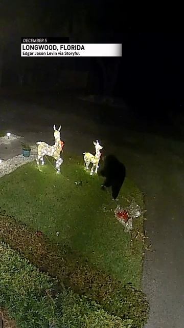 shorts видео не моё shorts