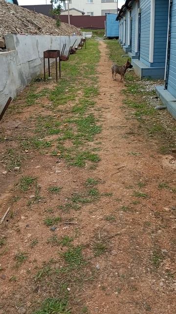 я на море часть 2 смотреть онлайн