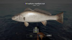 Русская рыбалка 4  Норвежское море  ловля на оснастку обезьянка