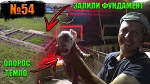 №54 Начались осенние опоросы😁👍❗️❗️❗️