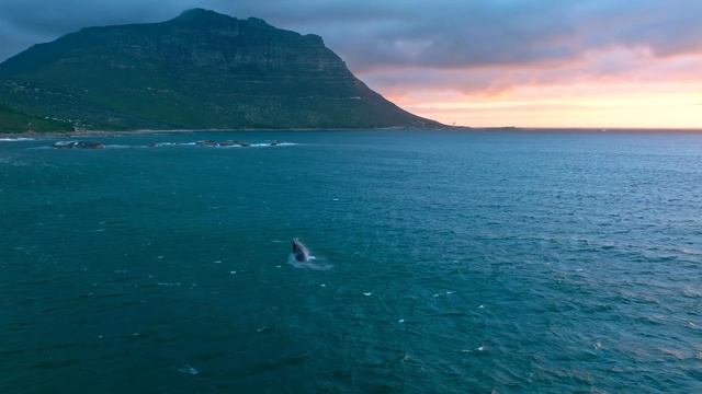 Природа смотреть онлайн