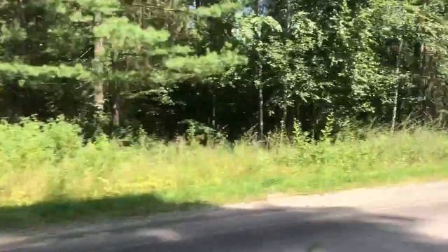 Мопеды сериал | Серия 1284