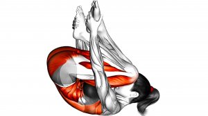 Мобильность всего тела (без оборудования)