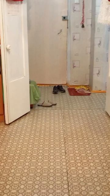 #бонникарпов #бонни #bonnie #bonniekarpov #karpov #карпов (1) смотреть онлайн