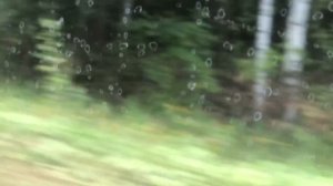 Мопеды сериал | Серия 1248