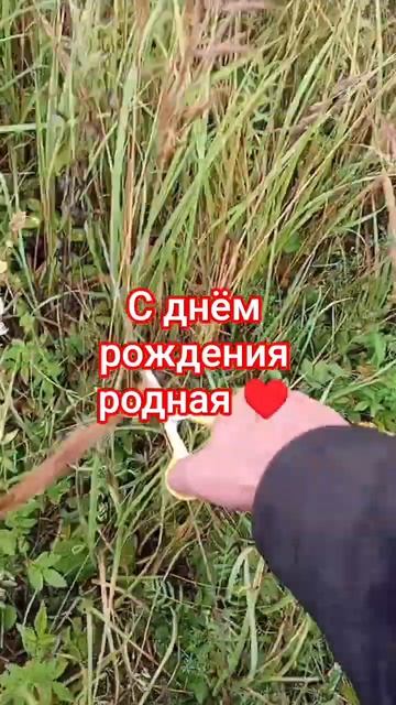 С днём рождения любимая ♥️♥️♥️ смотреть онлайн