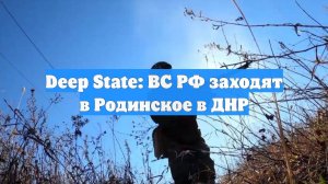 Deep State: ВС РФ заходят в Родинское в ДНР