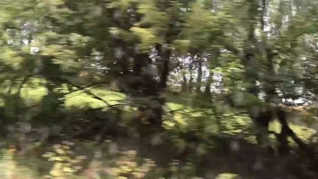 Мопеды сериал | Серия 1232