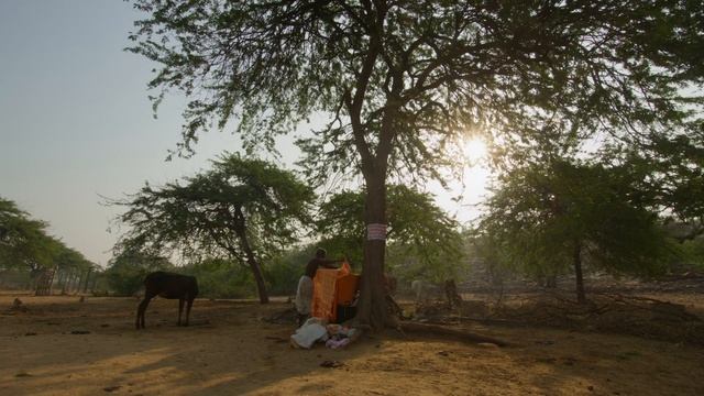 Вриндаван во Вриндаване