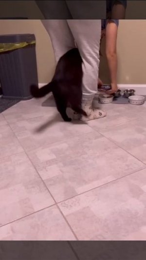 Ну, очень голодный