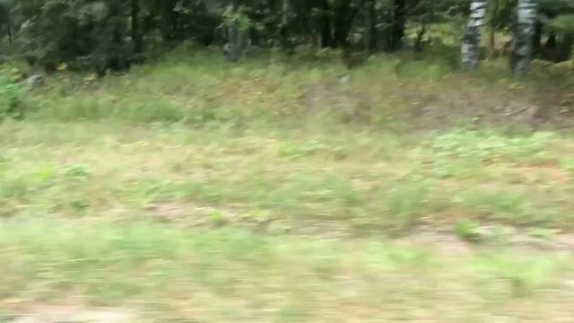 Мопеды сериал | Серия 1269