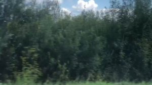 Мопеды сериал | Серия 1243