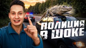 Полицейские сняли на камеру то, во что трудно поверить