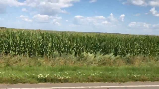 Мопеды сериал | Серия 1257