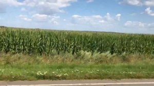 Мопеды сериал | Серия 1257