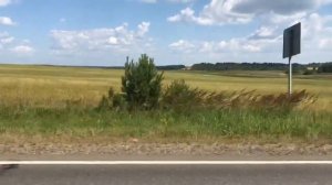 Мопеды сериал | Серия 1206