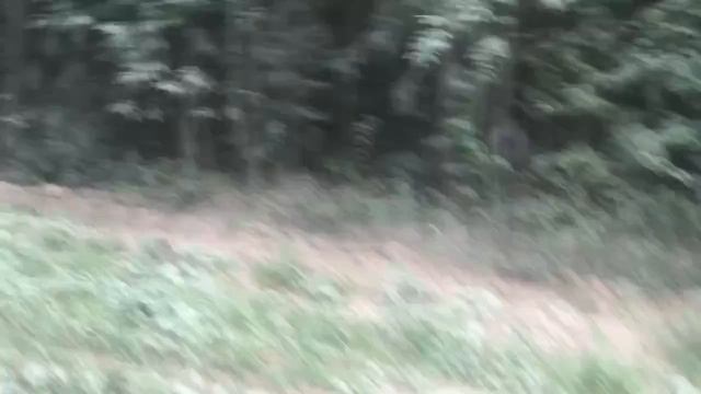 Мопеды сериал | Серия 1302