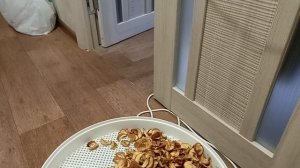 сушилка Ротор , сушила яблоки и груши