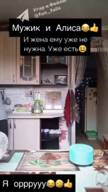 Алиса и мужик