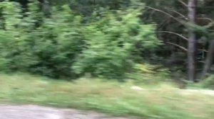 Мопеды сериал | Серия 1250