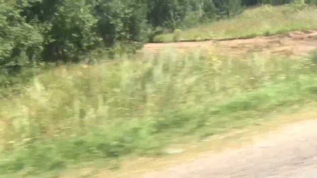 Мопеды сериал | Серия 1226