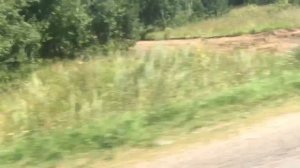 Мопеды сериал | Серия 1226