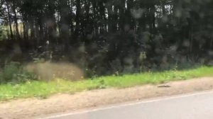 Мопеды сериал | Серия 1311