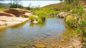 Сахих аль-Бухари, хадисы № 251-260. Фокус темы: ОМОВЕНИЕ - 4