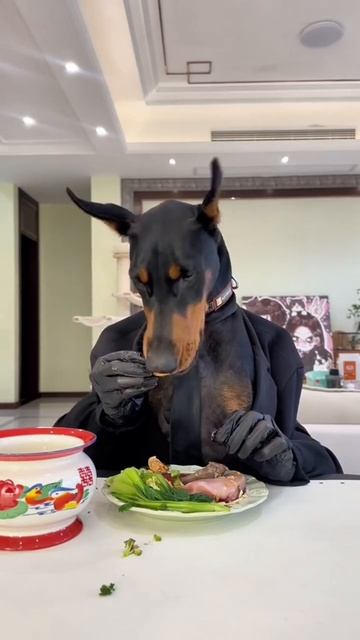 ASMR с важным мальчиком