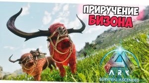 КАК ПРИРУЧИТЬ Бизона в ARK? Подробный гайд по приручению, обзор и способности