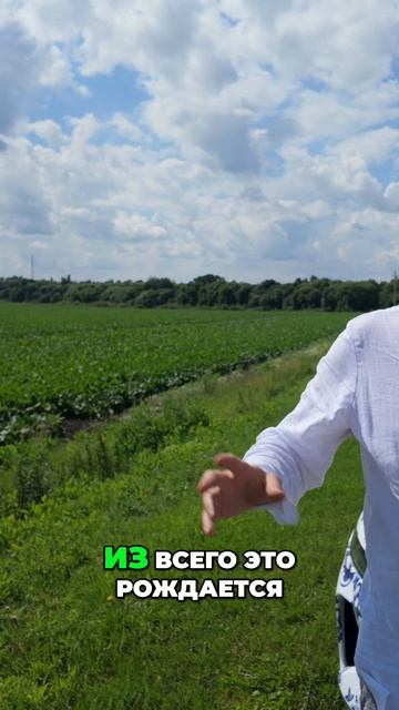 Dongfeng_ Путь к успеху крупнейшего автопроизводителя Китая смотреть онлайн