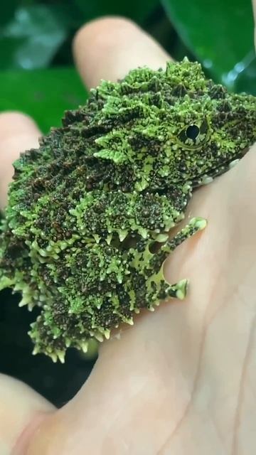 Вьетнам.#реки