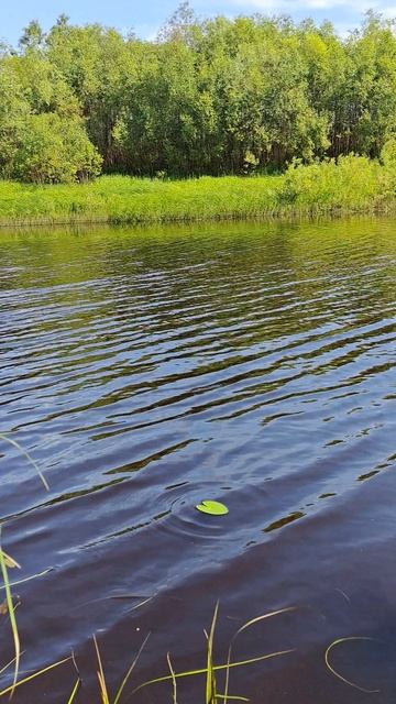 Красота природы