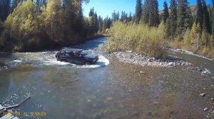 Однажды в телецкой тайге))) Республика Алтай
р.Пыжа