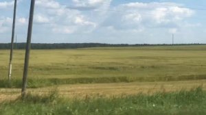 Мопеды сериал | Серия 1202