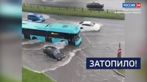 ВЕСТИ 24  Санкт-Петербург от 05.08.2025