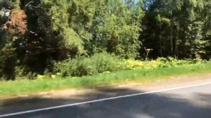 Мопеды сериал | Серия 1171