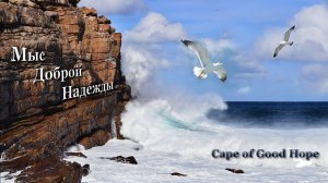 МЫС ДОБРОЙ НАДЕЖДЫ. Акулы, котики, пингвины