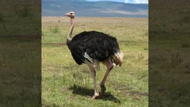 Это интересно-49