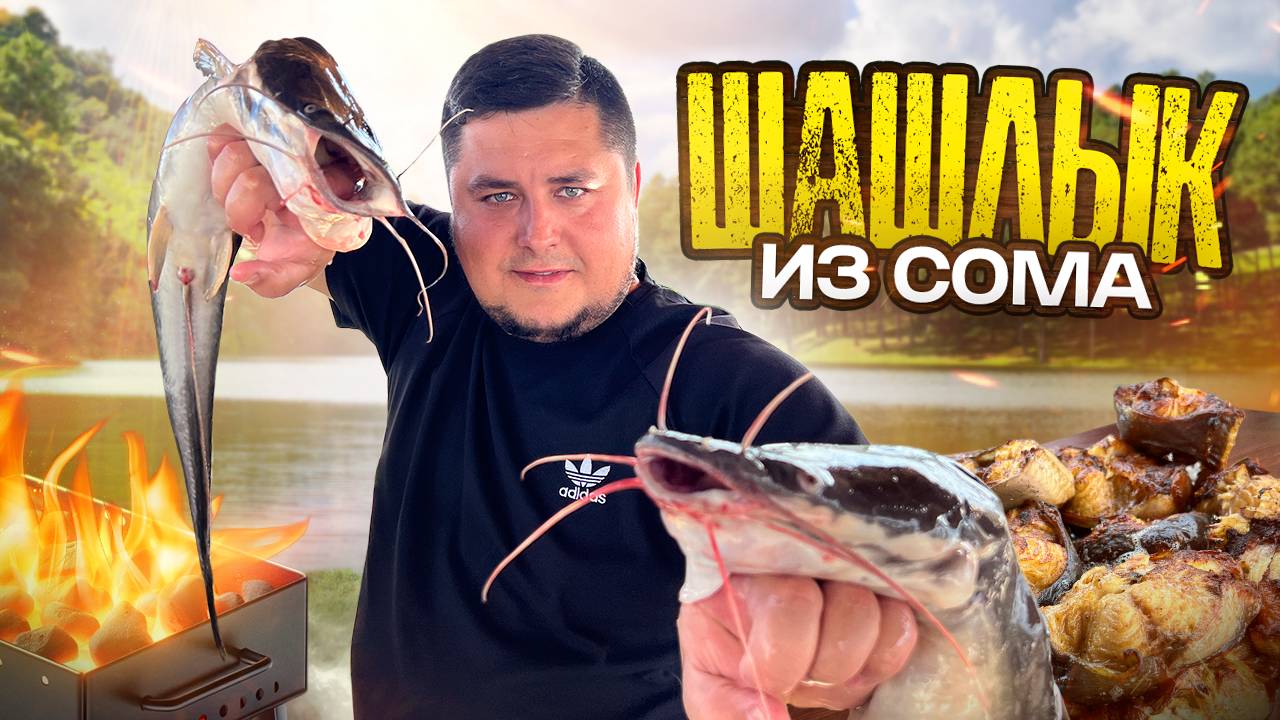 Невероятный шашлык из сома — просто и вкусно! смотреть онлайн