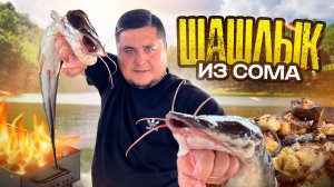 Невероятный шашлык из сома — просто и вкусно!