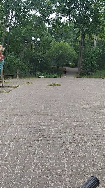 Выбор и ответственность