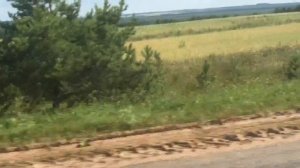 Мопеды сериал | Серия 1309