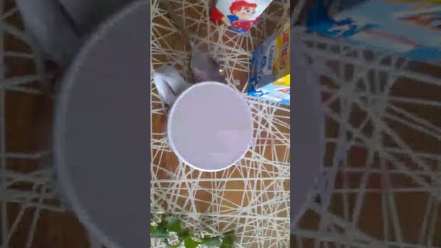 готовим Bubble Tea