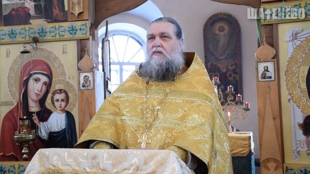 НАМ МЕШАЕТ ПРОЗРЕТЬ ТОЛПА / иерей Сергий (Щепелин) смотреть онлайн